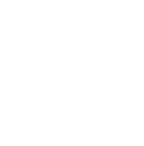 The Argentine Experience